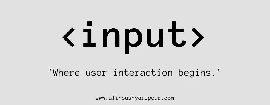Visual representation of the input HTML tag.